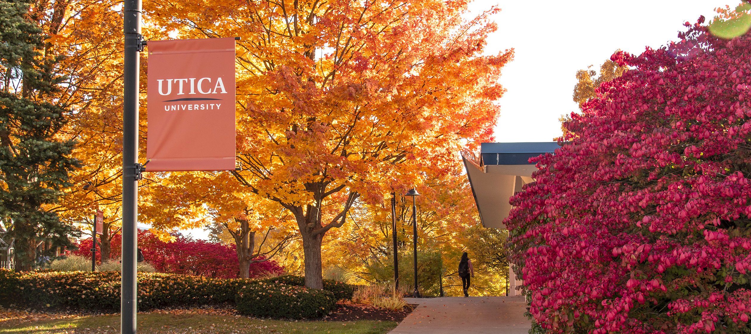 Utica University